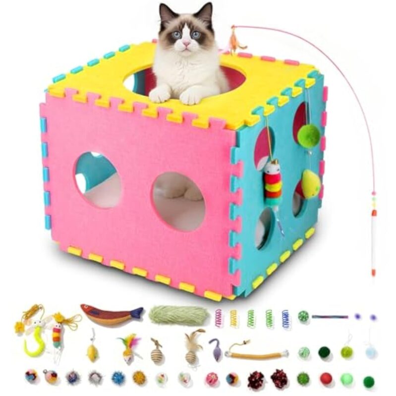 41件互动猫玩具 室内猫咪必备 42% OFF