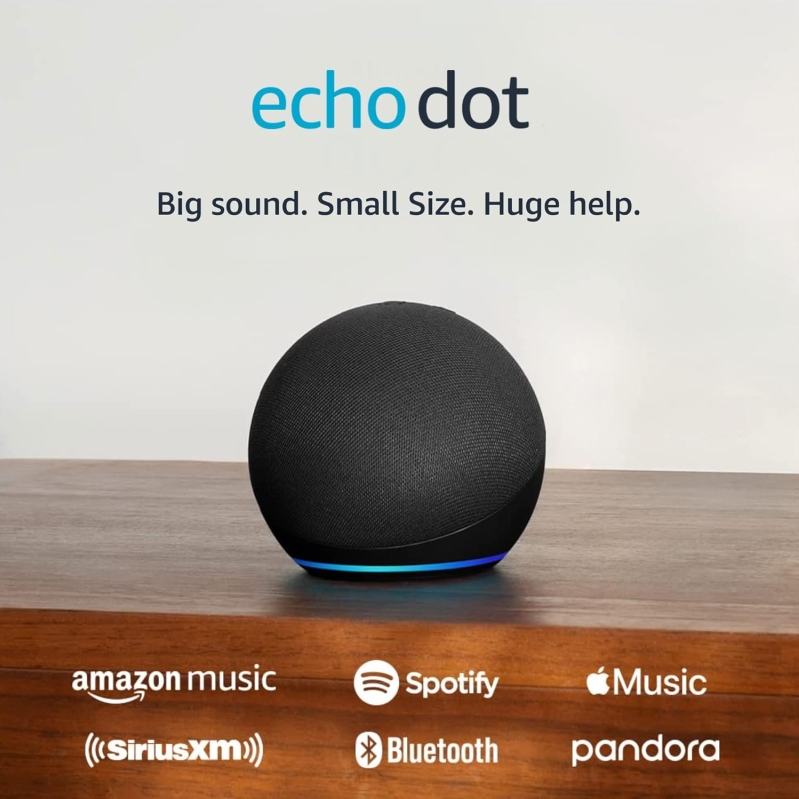 Amazon Echo Dot (newest model)