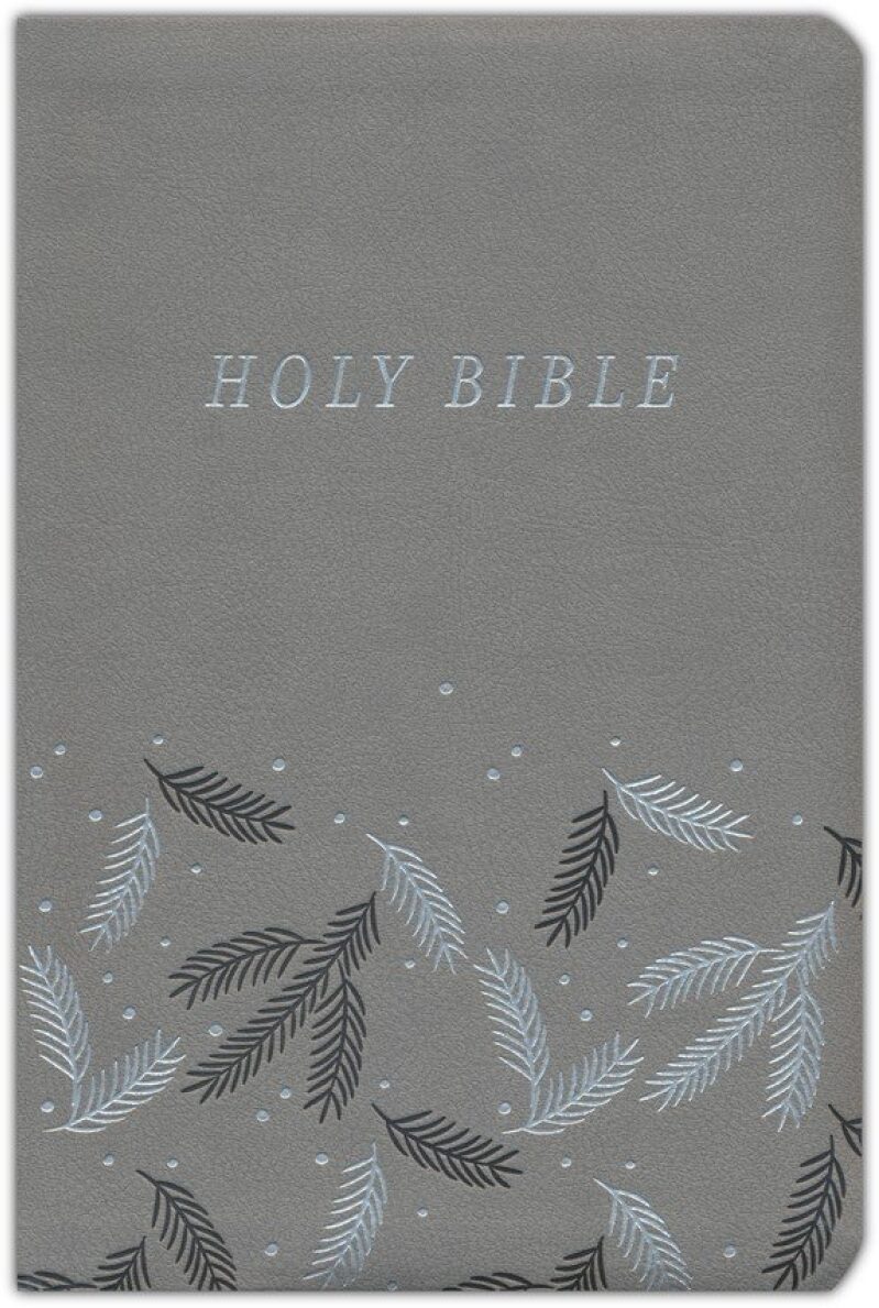 NIV Bible Gift Set Review: Everything You Need for Your Devotional Time