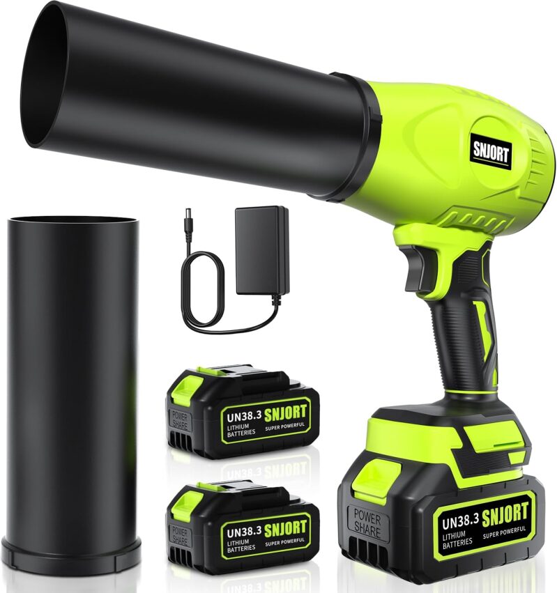 Lightweight Cordless Leaf Blower with 2 Batteries