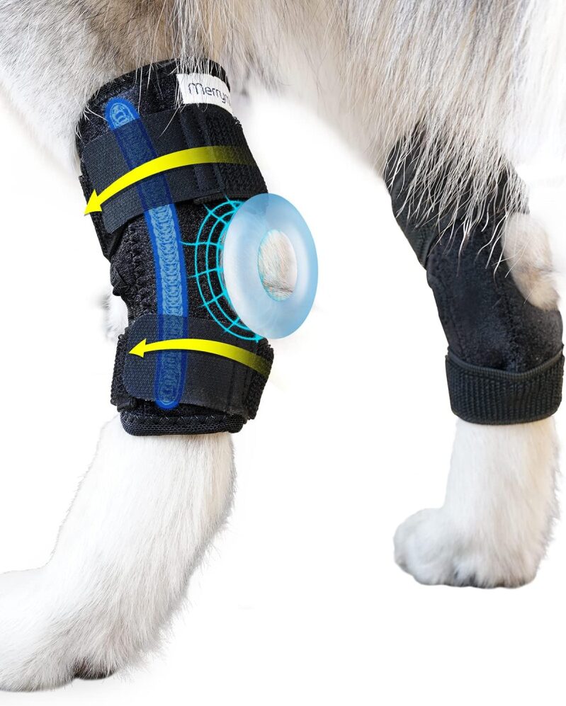 Dog Leg Brace (M, 2 Pack) | Rear Hock & Ankle Compression Wrap for ACL, Injury, & Stability