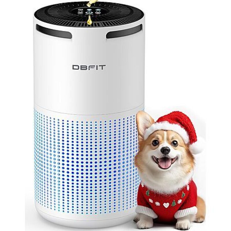 DBFIT H13 HEPA Air Purifier w/ Aromatherapy – 36% Off, $27.91 Free Shipping
