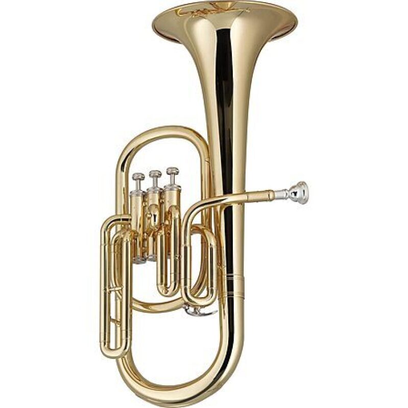 Stagg Eb Alto Horn + Case – $484.13 Deal – Ideal for Brass Players
