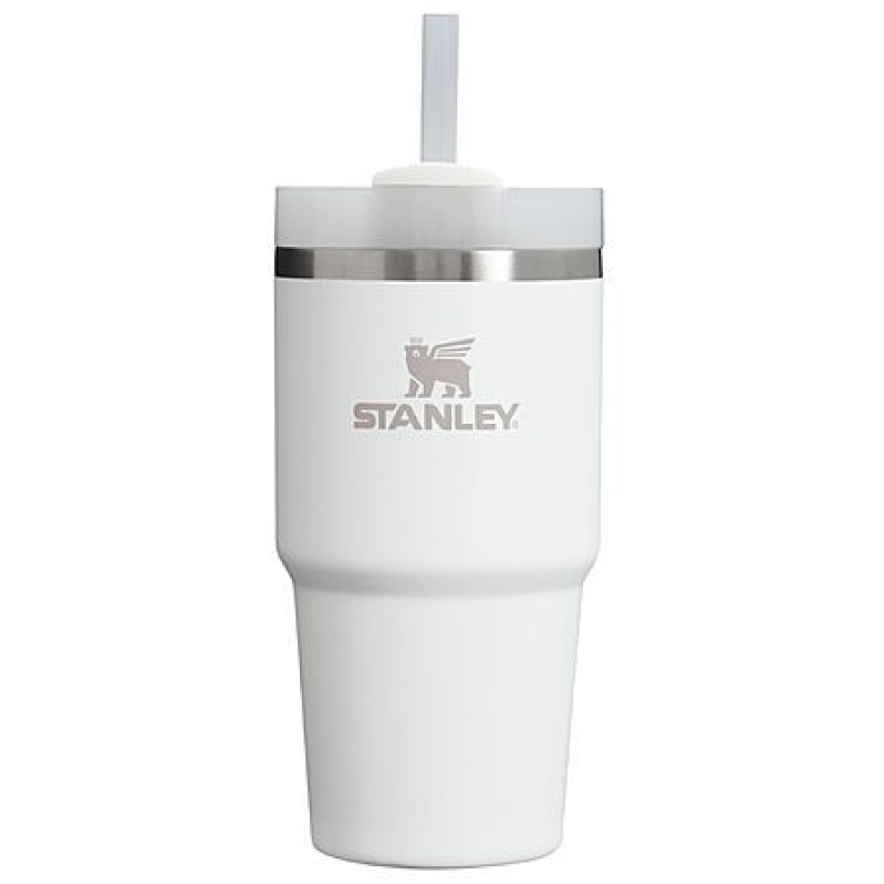 Stanley 20‑Oz Quencher H2.0 Tumbler with Straw – Frost, $17.50 + Free Shipping