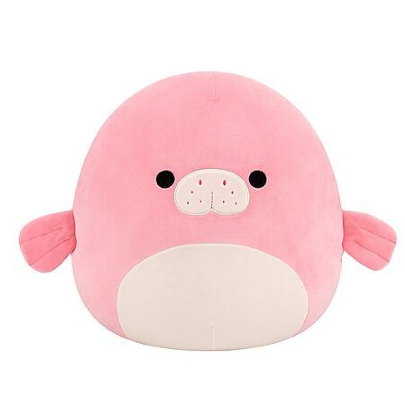 Squishmallows Morlai The Coral Manatee 14