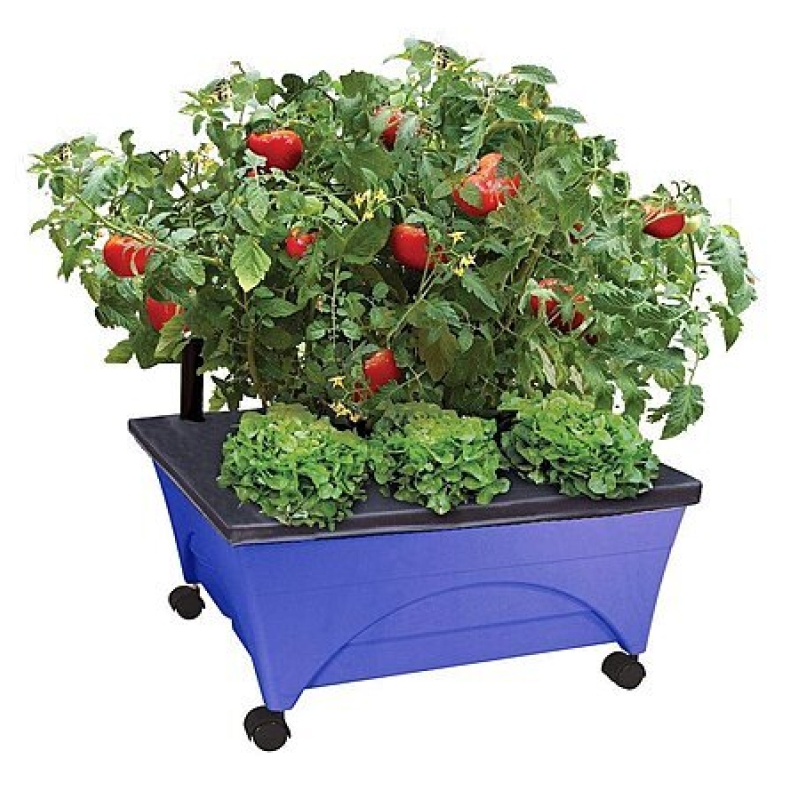Emsco City Picker Raised Bed Grow Box – $22.72 Deal, Mobile Self‑Watering Planter
