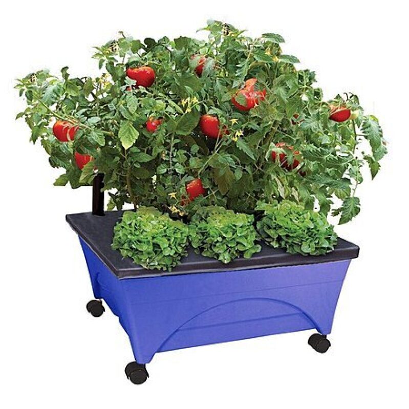 Emsco City Picker Raised Bed Grow Box – $22.72 Deal, Mobile Self‑Watering Planter
