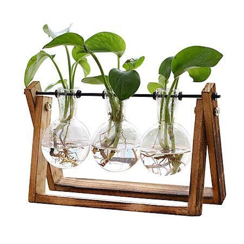 XXXFlower 3‑Bulb Terrarium Set – Vintage Wooden Stand, 42% Off