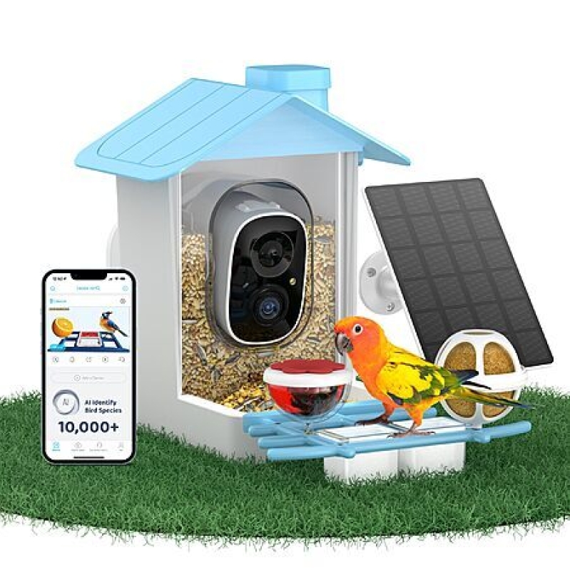 Deal: Smart Bird Feeder with 2K Camera, Solar Power & AI ID – Only $34.99