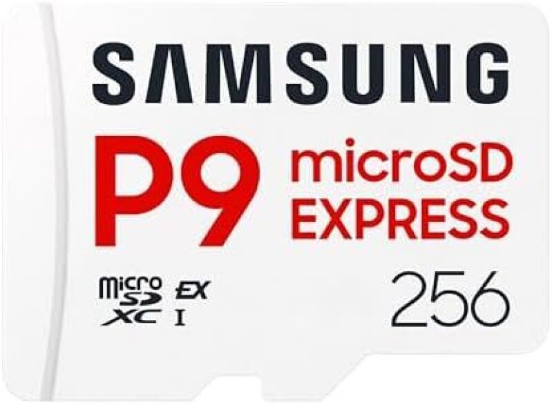 256GB Samsung P9 Express microSD Card – 800 MB/s Speed for $31.50