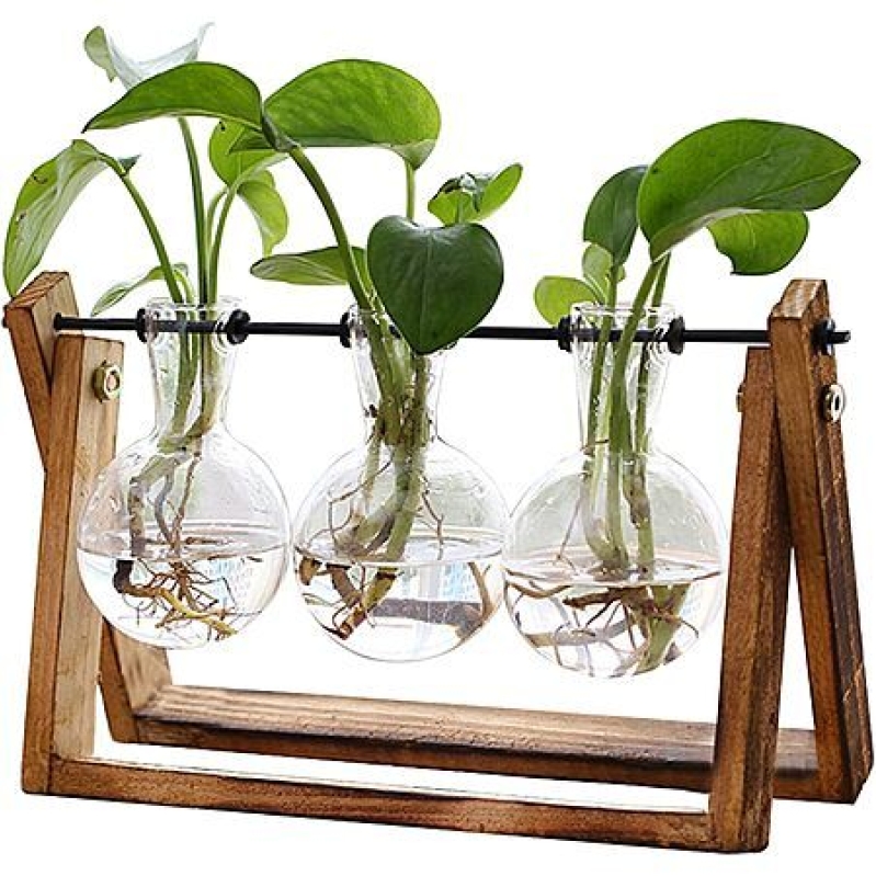 XXXFLOWER 3‑Bulb Vase Terrarium with Wooden Stand – $9.91 Deal