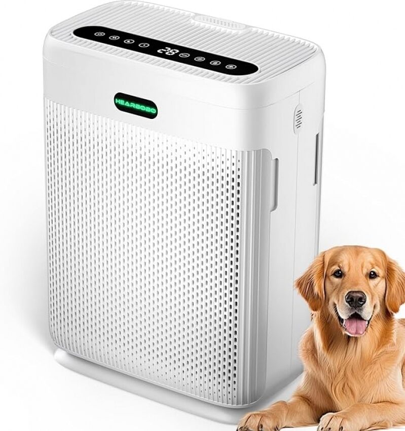 Top-Rated Air Purifier for Large Rooms - Save Big Today!