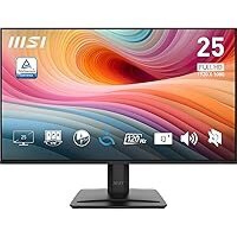 MSI PRO MP251 E2: 24.5-inch FHD Gaming Monitor for Enhanced Productivity