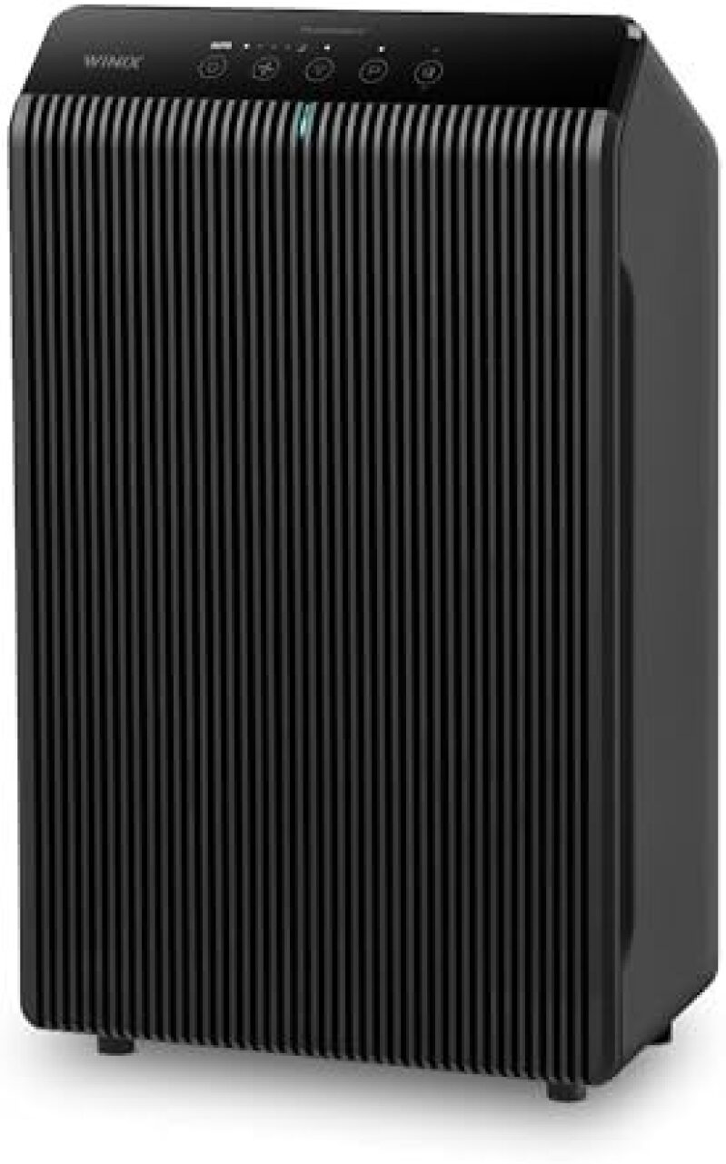 Winix 5510 True HEPA Air Purifier - Polished Charcoal Gray on Sale