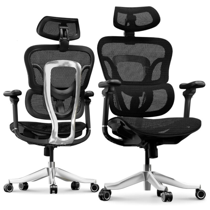 FLEXISPOT ErgoX Max Ergonomic Office Chair Black - 40% OFF