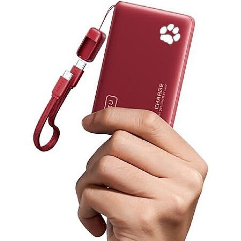 INIU 10000mAh 45W USB-C PD Power Bank with Lanyard - Red