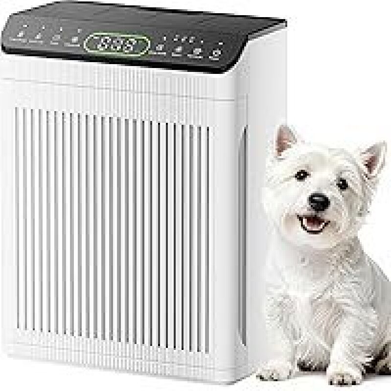Evalit ET066 Air Quality Sensor HEPA Air Purifier for Large Areas