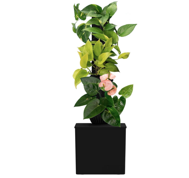 Tevatower Mini Smart Self-Watering Indoor Plant System - Spring Sale