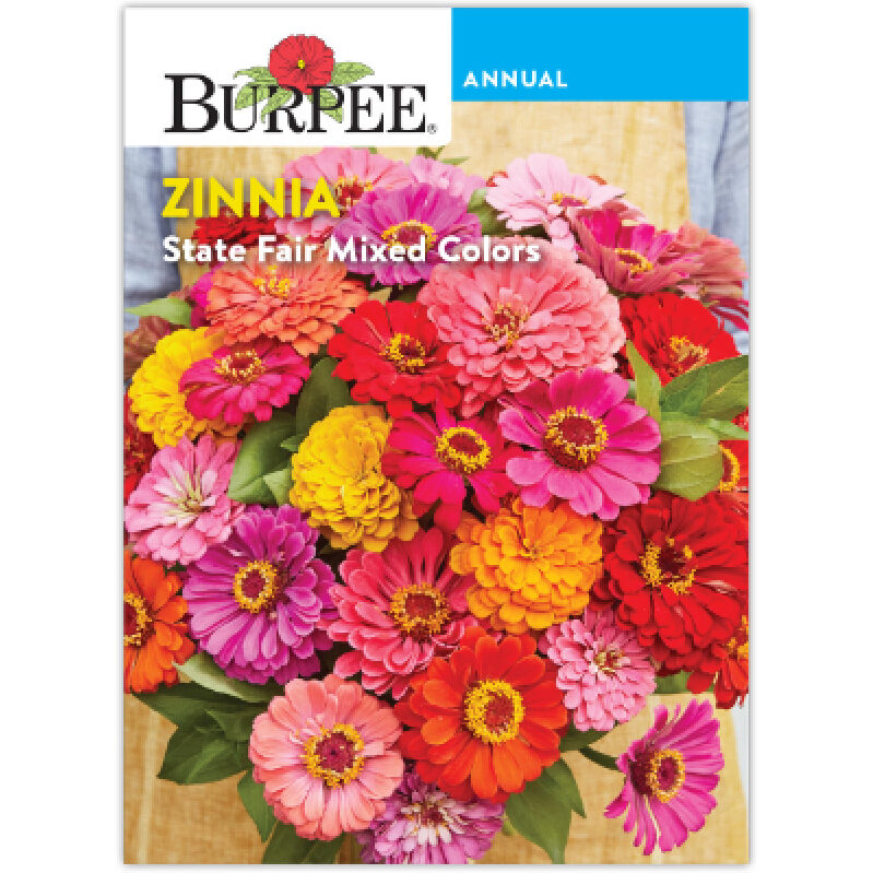 State Fair Zinnia Mixed Colors Seeds: Brighten Your Garden