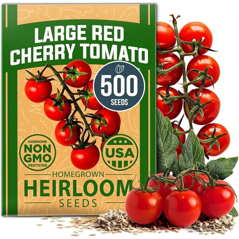 Large Red Cherry Tomato Seeds 500+ Heirloom - Quick Sprouting, Non-GMO, USA