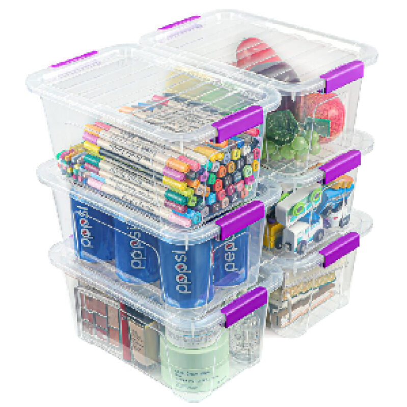 EOENVIVS Transparent Storage Boxes with Lids - 6-Pack