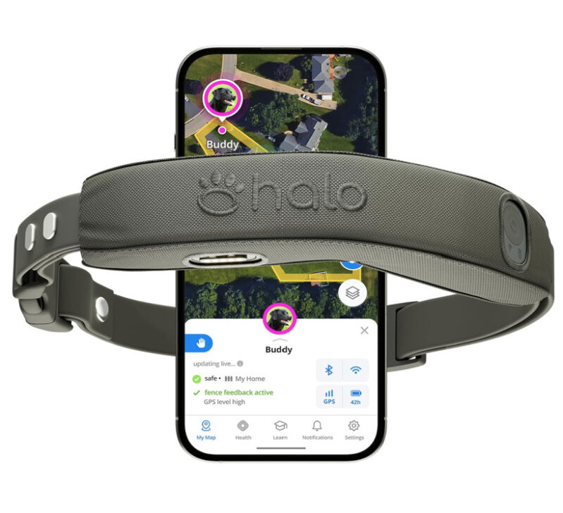 Halo Collar 5 GPS Dog Collar: Ultimate Pet Safety with Advanced Tracking