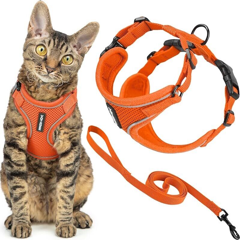 Voyager Escape-Proof Step-in Lock Cat Harness & 5ft Leash Set - Durable Cat Walking Gear