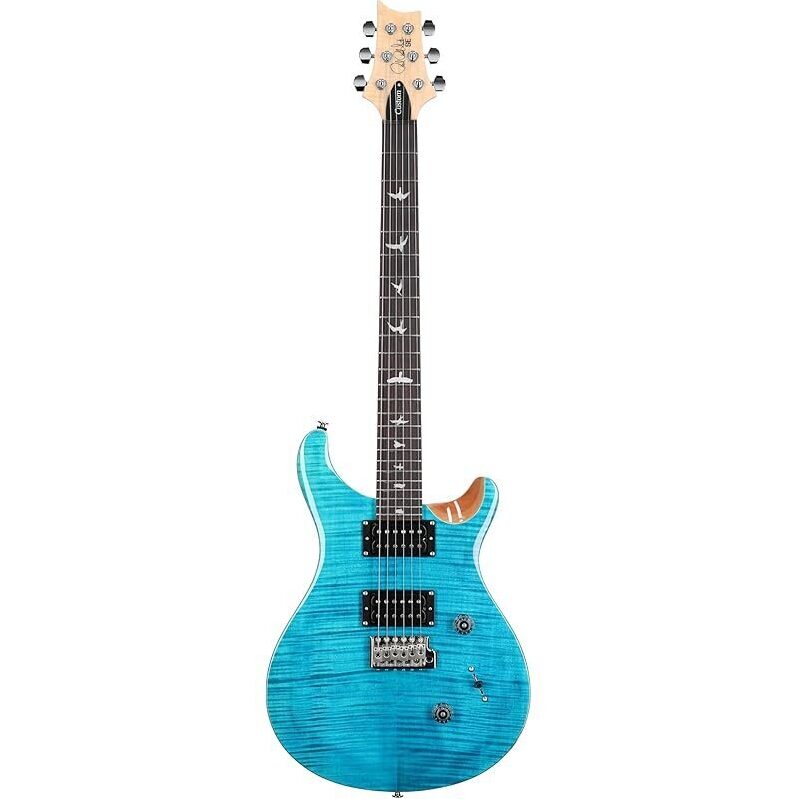 PRS SE Custom 24 Exclusive Electric Guitar - Affordable Quality