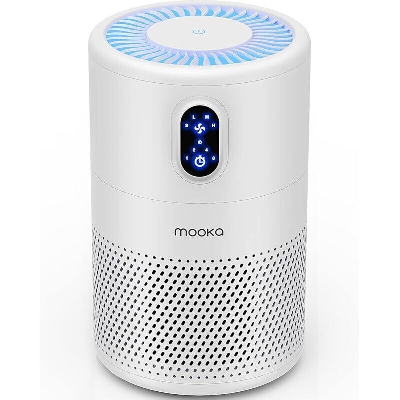 High-Efficiency HEPA H13 Air Purifier for Large Rooms
