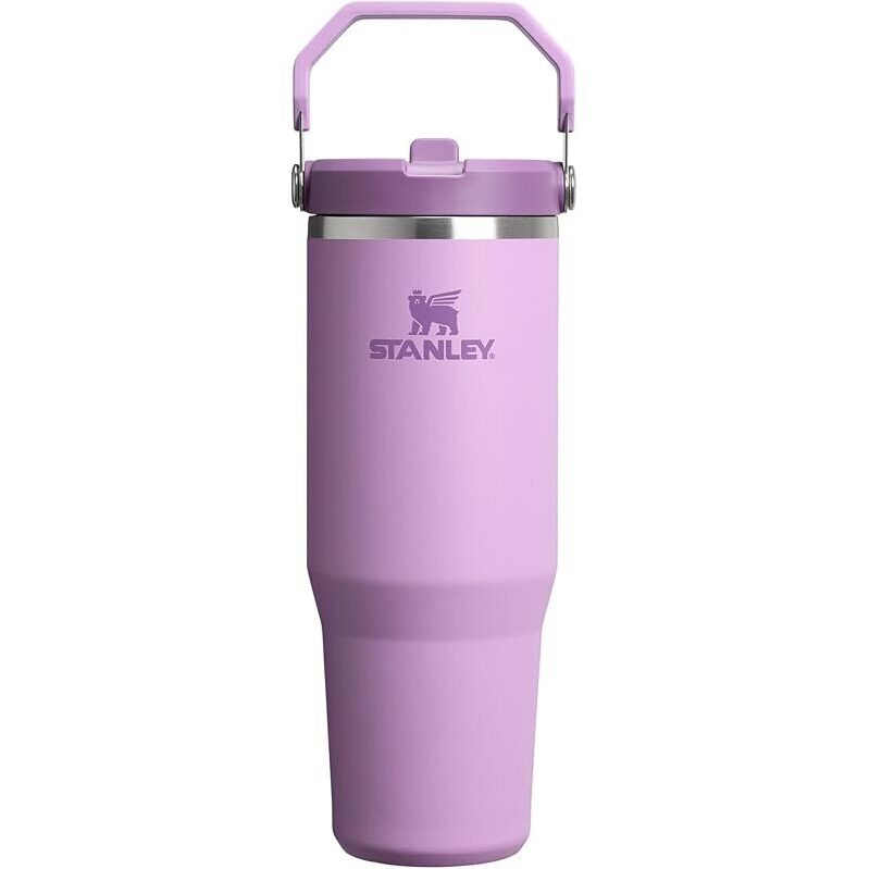 Stanley IceFlow 2.0 Flip Straw Tumbler with Handle 30oz - Sustainable Hydration On The Go