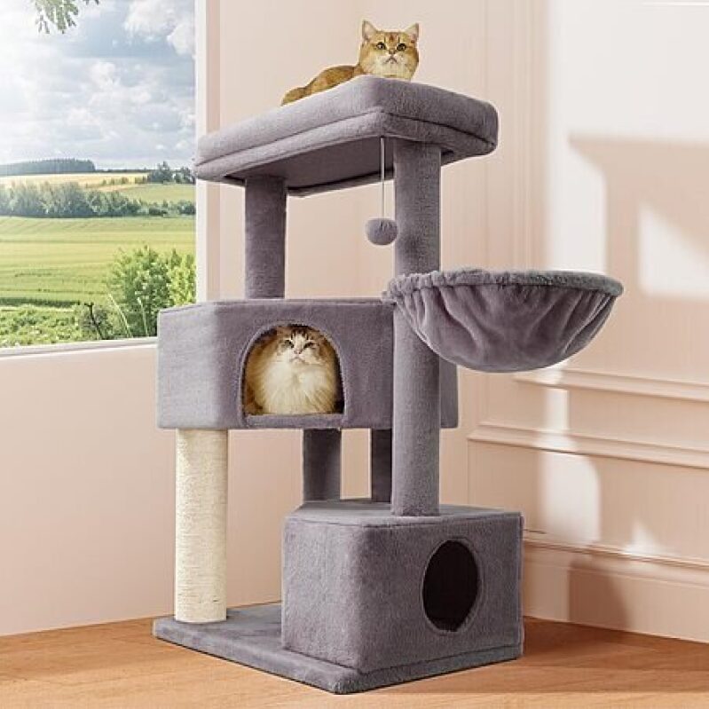 Gardner Pet 41