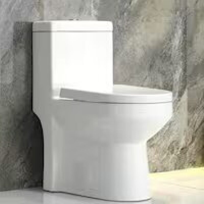 Horow 0.8/1.28 GPF Dual Flush Round Toilet with Durable UF Seat