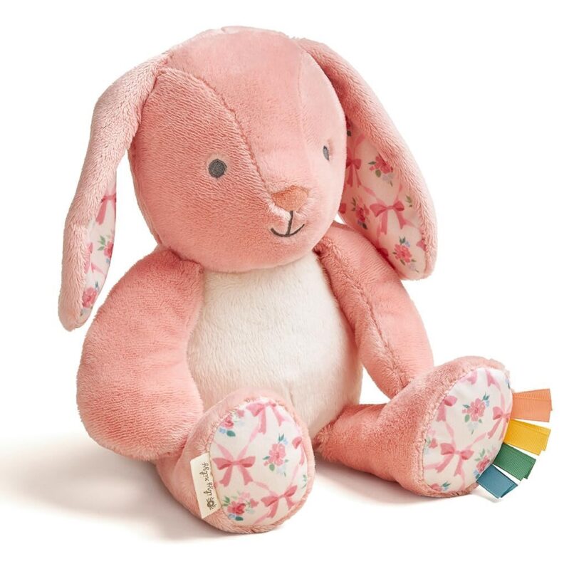 Itzy Ritzy Snuggles Plush Toy - Pink