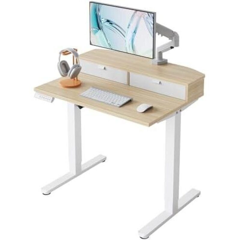 Affordable Electric Height Adjustable Desk with Dual Drawers