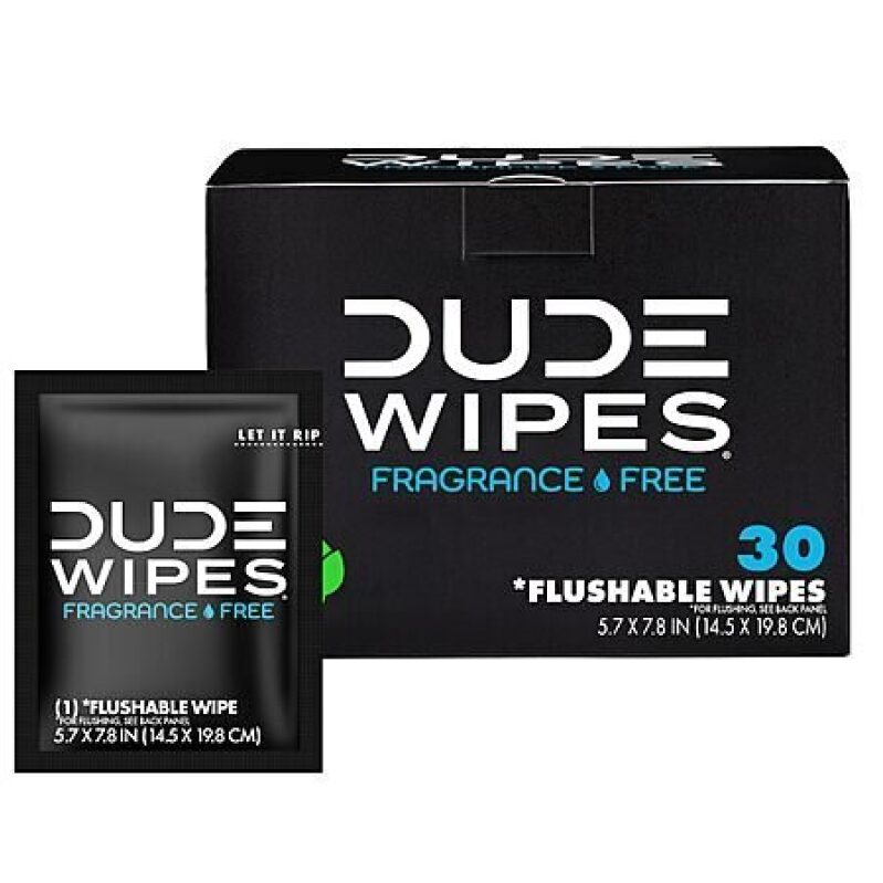 30-Count Dude Wipes Fragrance Free On-The-Go Flushable Personal Wipes - Affordable and Convenient