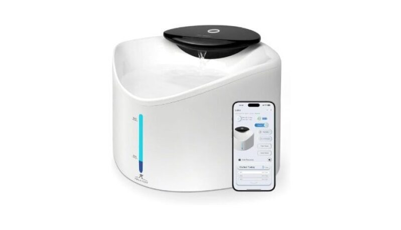 Wireless Cat Water Fountain with Smart App Monitoring