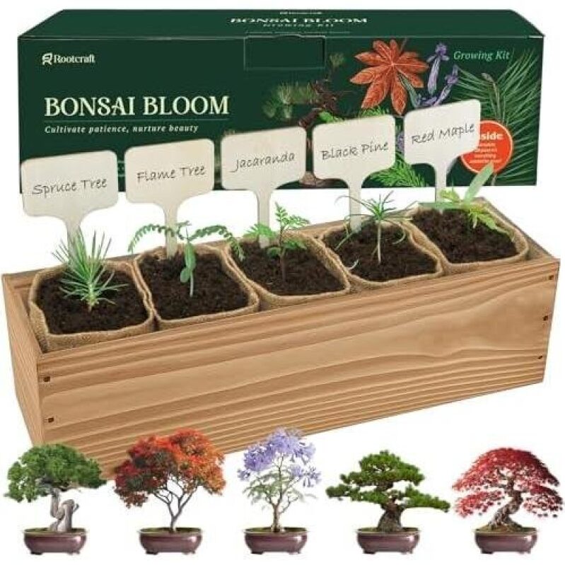 5 Set DIY Stump Bonsai Kits - Perfect for Beginners, 50% Discounted