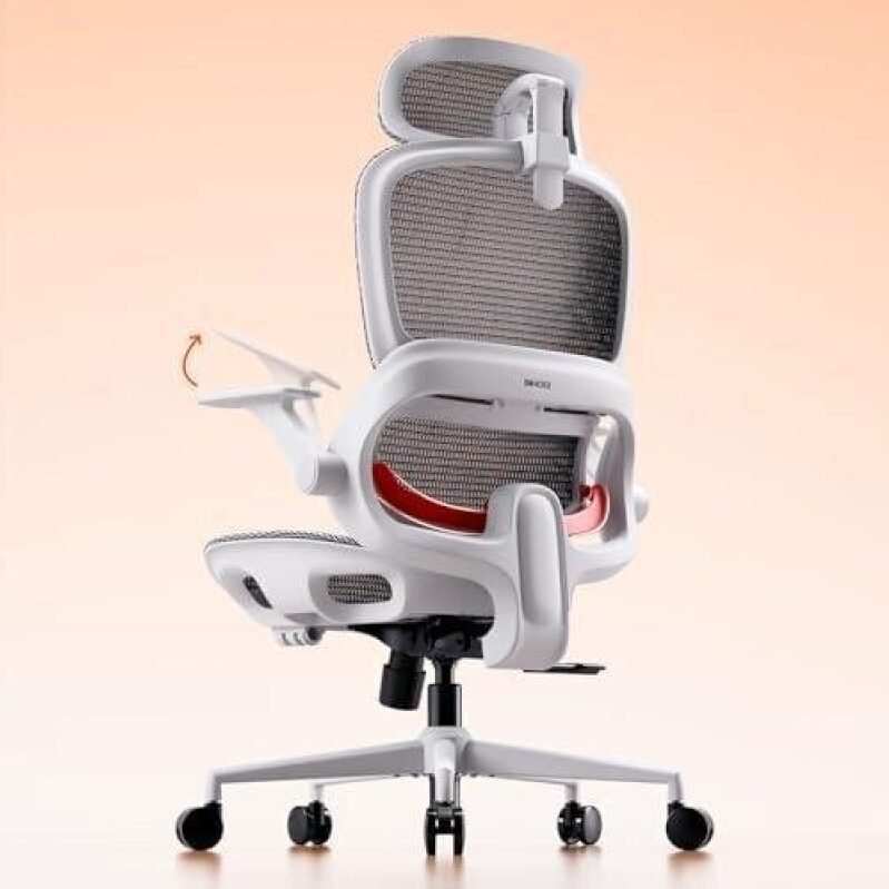 50% OFF Ergonomic Office Chair with Adaptive Lumbar Support - Grey