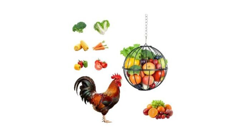 AOTECC Hanging Chicken Feeder - Durable Metal Treat Holder