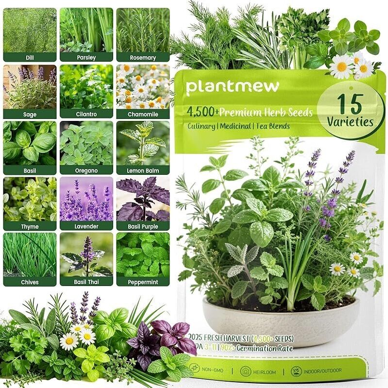 15-Pack Premium Herb Seeds: USA Varieties for Culinary, Medicinal & Tea Uses