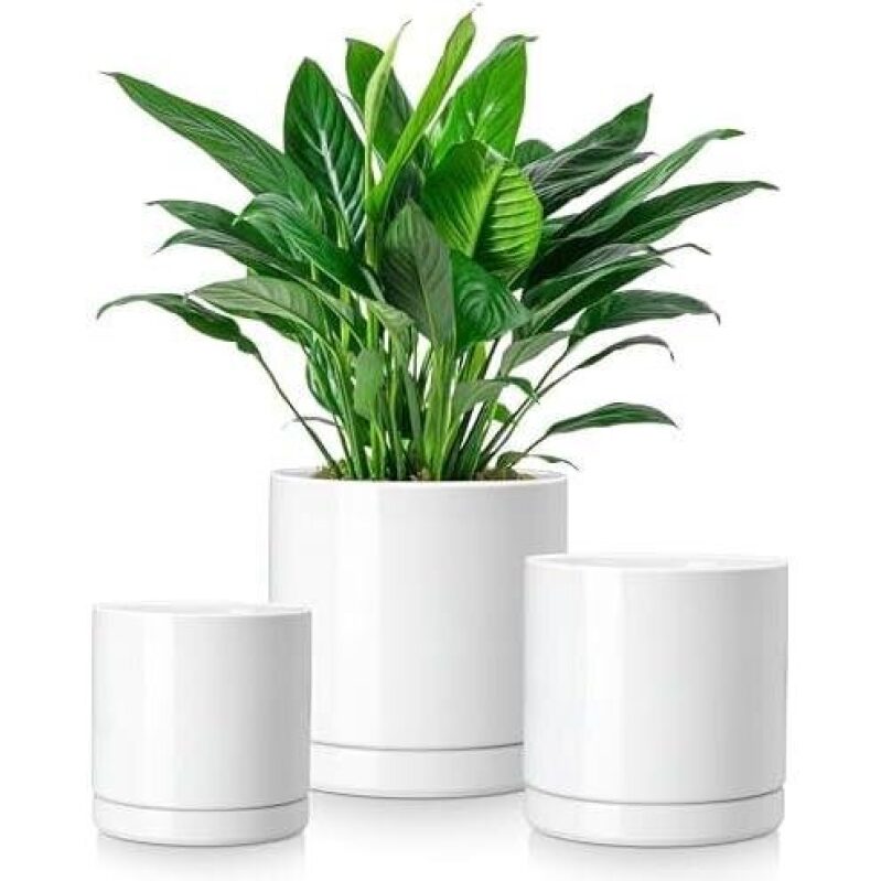 Elegant White Ceramic Plant Pots - 59% Off Today Only