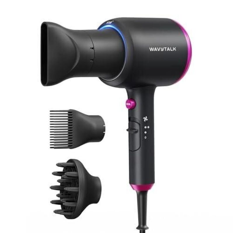Wavytalk 1875W Ceramic Silent Hair Dryer - 56% Off