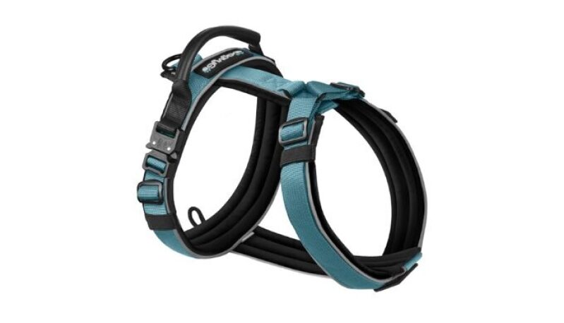 WagvyGo Premium Y-Shaped Dog Harness for Training & Daily Walk