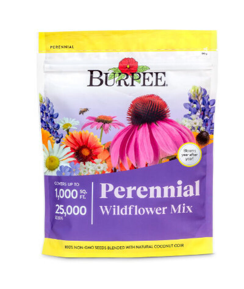 18 Variety Non-GMO Perennial Wildflower Mix Seeds - 25,000 Seeds
