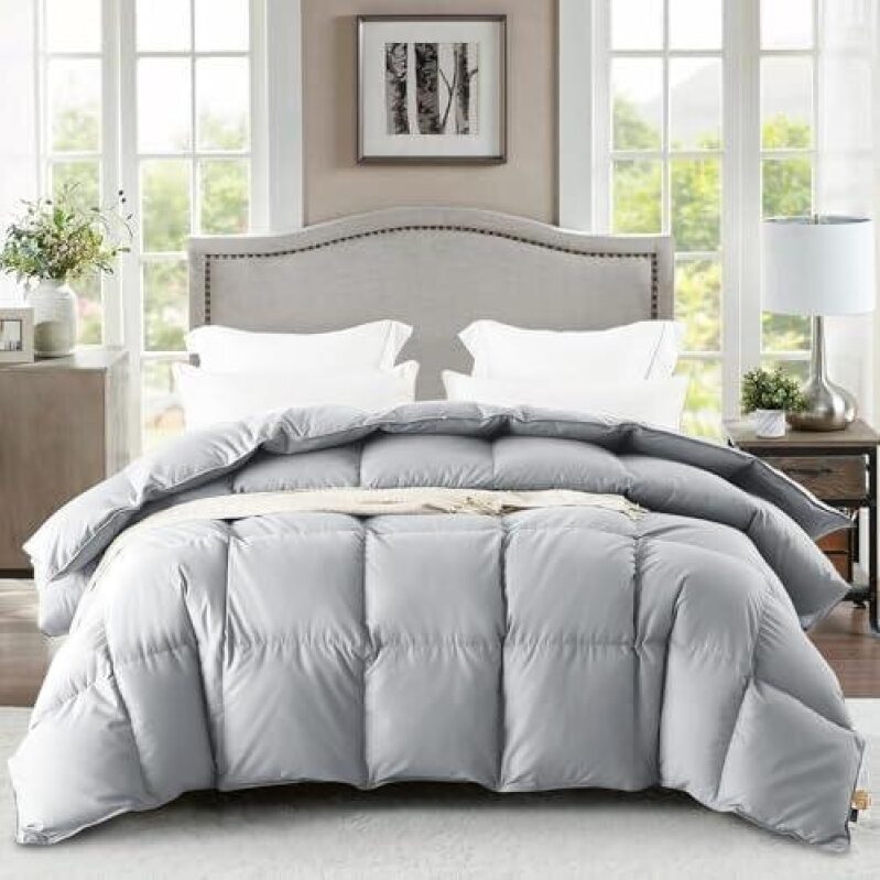 Affordable Four-Season Down Comforter - 70% Off