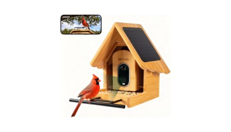 Bamboo Bird Feeder with Camera - 2K HD, Solar Powered, Wi-Fi Enabled