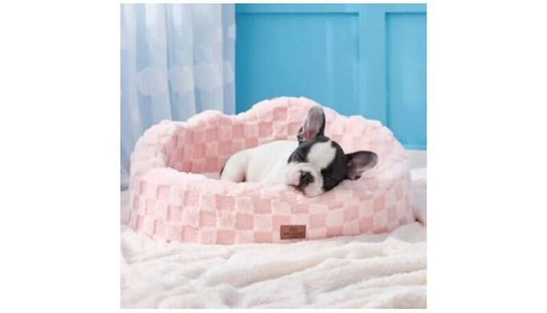 Affordable Joydeco Cloud Dog Bed for Small Dogs & Cats