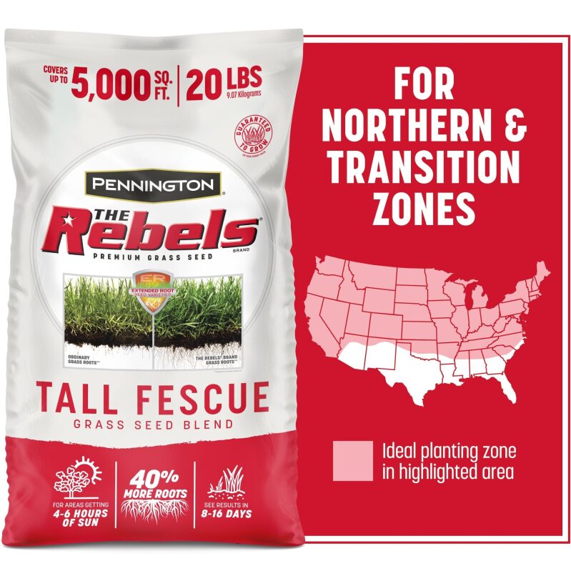 Pennington Rebels Tall Fescue Grass Seeds 20lb - Ideal for Northern & Transition Zones