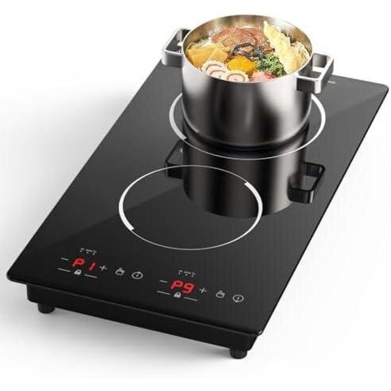 Double Layer Induction Cooker with 31% Discount