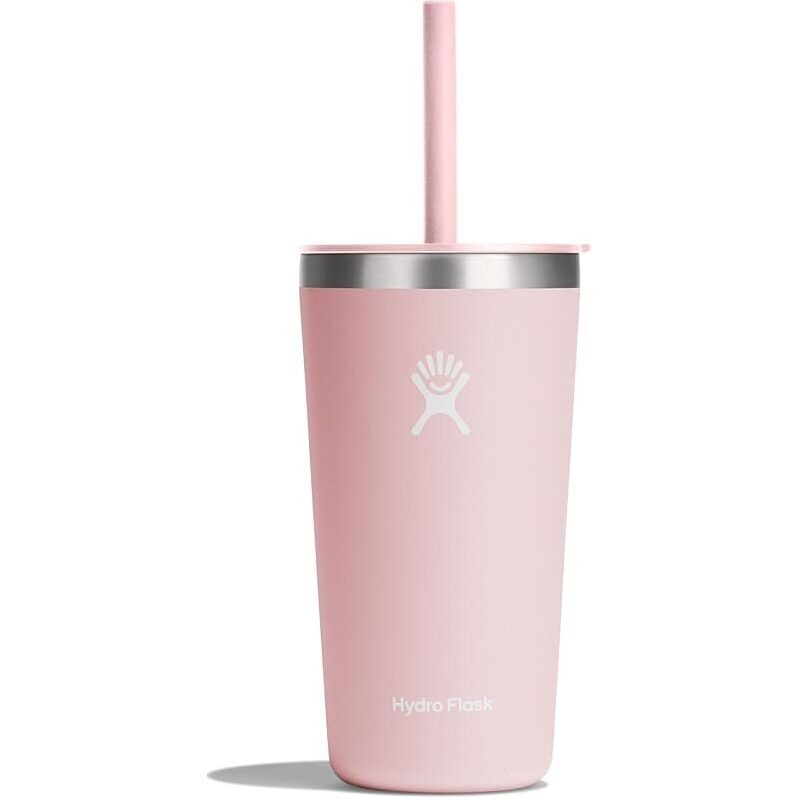 Hydro Flask 20oz All Around Tumbler with Press-in Lid